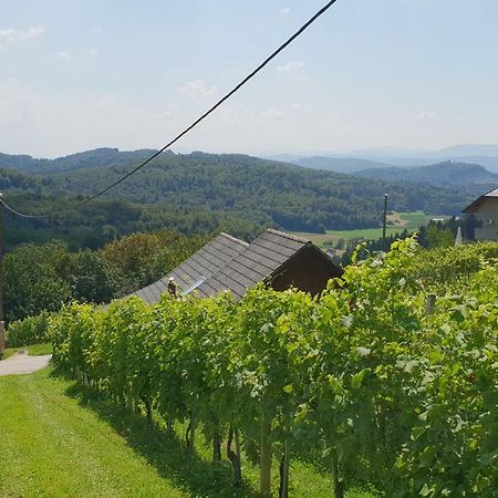 Zidanica Meglic - Vineyard Cottage Meglic Trebnje Exteriör bild