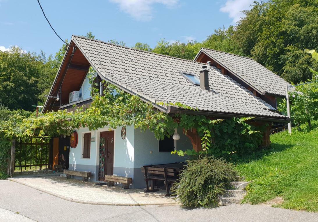 Zidanica Meglic - Vineyard Cottage Meglic Trebnje Exteriör bild