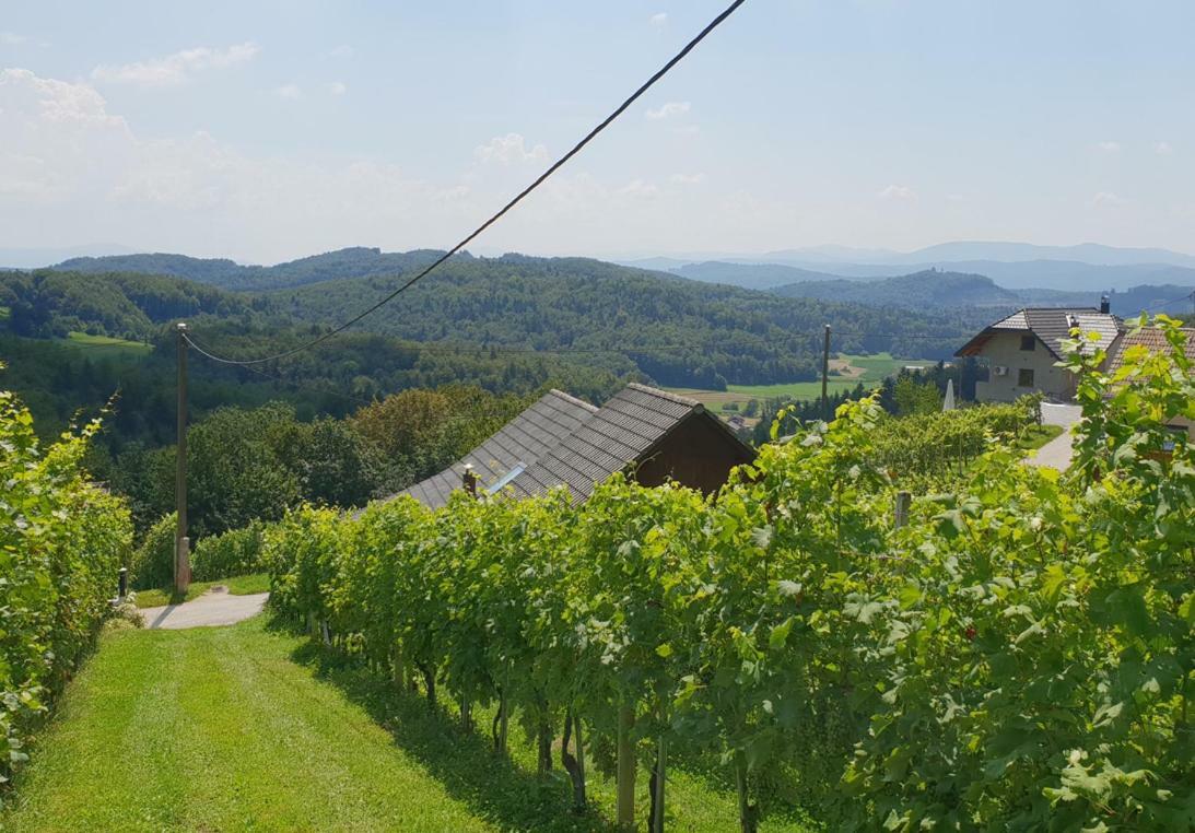 Zidanica Meglic - Vineyard Cottage Meglic Trebnje Exteriör bild